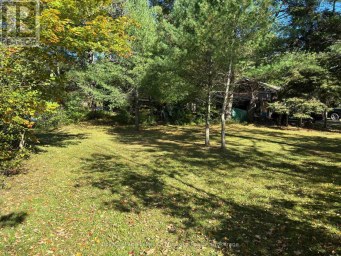 1345 HIGHWAY 118 EAST Bracebridge (Draper) Ontario photo 5