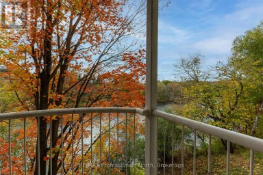 204 - 35 DAIRY LANE W Huntsville Ontario photo 26