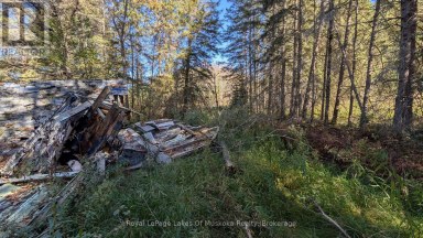 1827 HIGHWAY 141 HIGHWAY Muskoka Lakes (Watt) Ontario photo 10