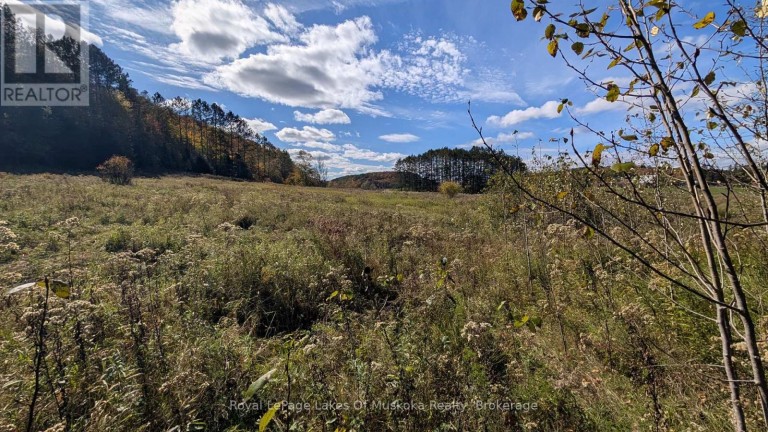 1827 HIGHWAY 141 HIGHWAY, Muskoka Lakes (Watt), Ontario, P0B1M0