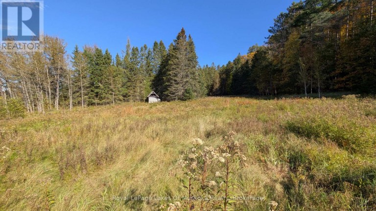 1827 HIGHWAY 141 HIGHWAY, Muskoka Lakes (Watt), Ontario, P0B1M0