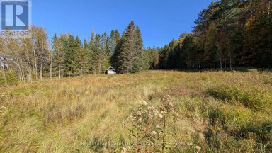 1827 HIGHWAY 141 HIGHWAY Muskoka Lakes (Watt) Ontario photo 4