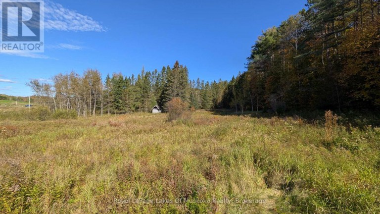 1827 HIGHWAY 141 HIGHWAY, Muskoka Lakes (Watt), Ontario, P0B1M0