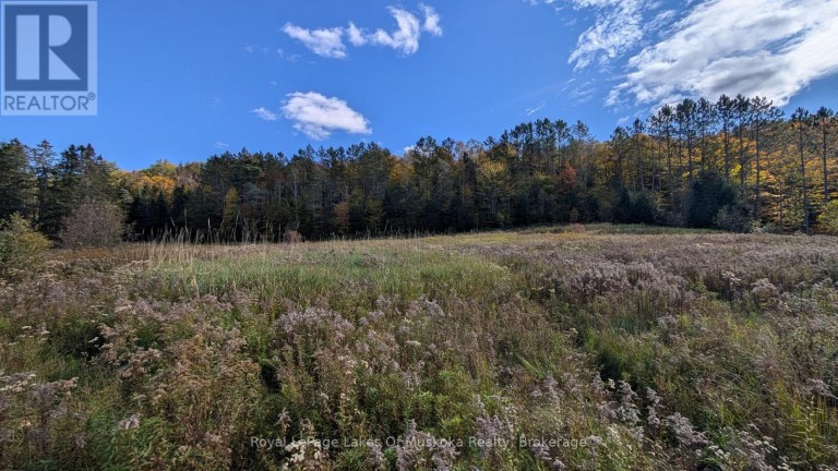 1827 HIGHWAY 141 HIGHWAY, Muskoka Lakes (Watt), Ontario, P0B1M0