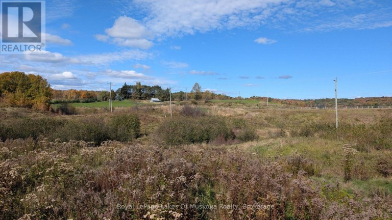 1827 HIGHWAY 141 HIGHWAY, Muskoka Lakes (Watt), Ontario, P0B1M0