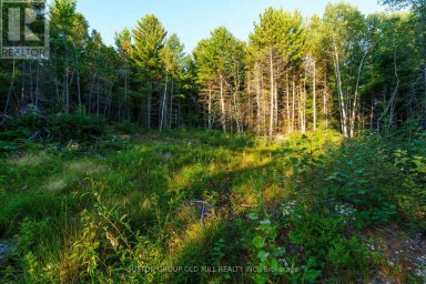 0 PT5,7,8 LT61 WEST BAY ROAD Greater Sudbury (Nickel Centre) Ontario photo 17