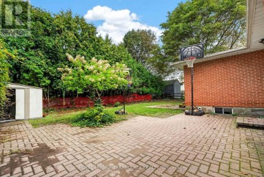 134 SWITZER DRIVE Oshawa (Centennial) Ontario photo 30