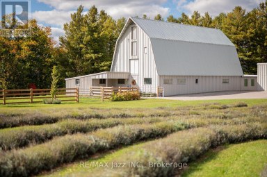 753 SYER 8TH LINE Cavan Monaghan (Cavan Twp) Ontario photo 1