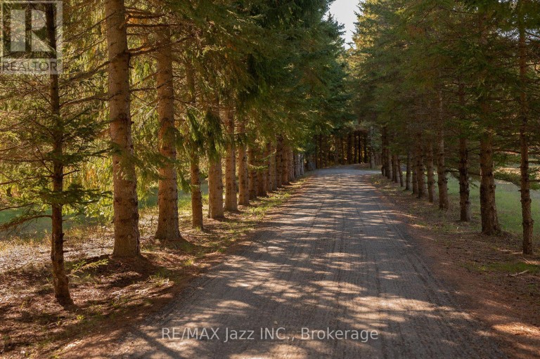 753 SYER 8TH LINE, Cavan Monaghan (Cavan Twp), Ontario, L0A1C0