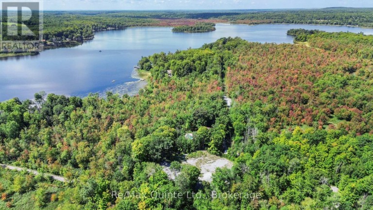 49 NORTH SHORE LANE, Centre Hastings, Ontario, K0K2K0