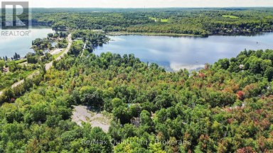 49 NORTH SHORE LANE Centre Hastings Ontario photo 8