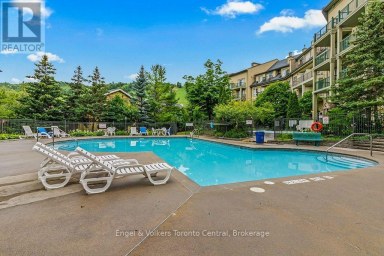 142 - 170 JOZO WEIDER BOULEVARD Blue Mountains Ontario photo 34