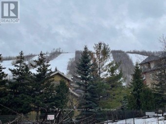 142 - 170 JOZO WEIDER BOULEVARD Blue Mountains Ontario photo 45