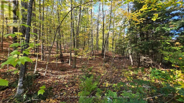 0 MINK LOT 17 ROAD, Dysart et al (Dudley), Ontario, K0M1S0