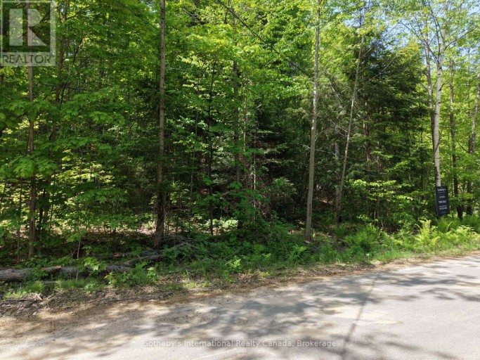0 MINK LOT 17 ROAD, Dysart et al (Dudley), Ontario, K0M1S0