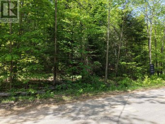 0 MINK LOT 17 ROAD Dysart et al (Dudley) Ontario photo 10