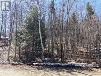 0 MINK LOT 17 ROAD Dysart et al (Dudley) Ontario photo 11