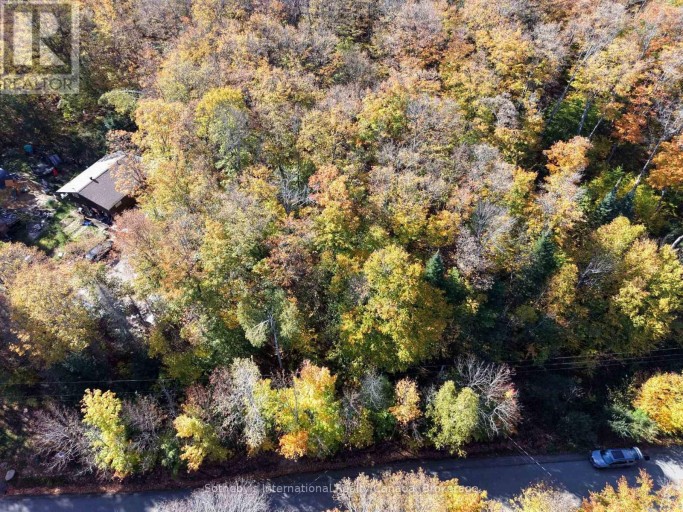 0 MINK LOT 17 ROAD, Dysart et al (Dudley), Ontario, K0M1S0