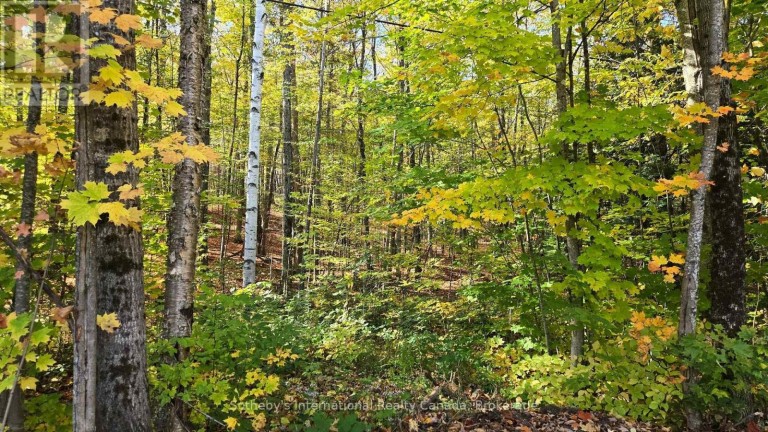 0 MINK LOT 17 ROAD, Dysart et al (Dudley), Ontario, K0M1S0
