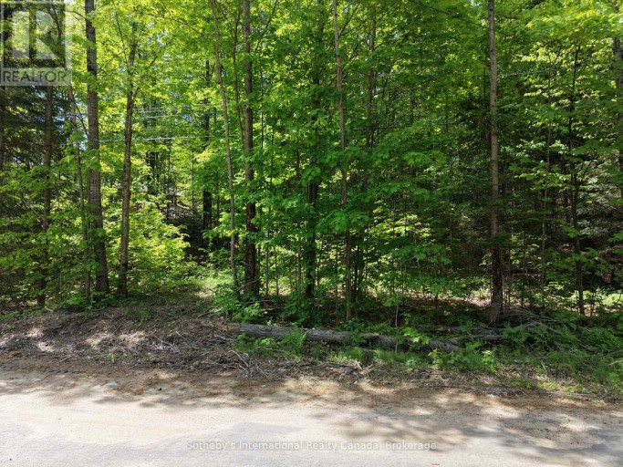 0 MINK LOT 17 ROAD, Dysart et al (Dudley), Ontario, K0M1S0
