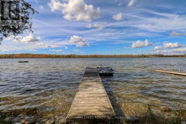 6 GREENWOOD ROAD Kawartha Lakes (Laxton/Digby/Longford) Ontario photo 18