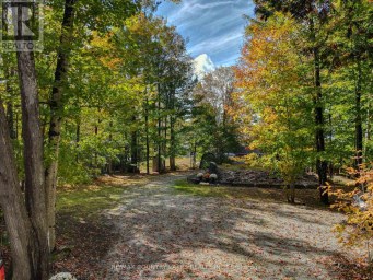 6 GREENWOOD ROAD Kawartha Lakes (Laxton/Digby/Longford) Ontario photo 30