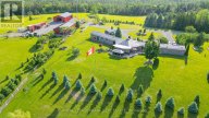 10 CITYVIEW HEIGHTS, Kawartha Lakes (Omemee), Ontario