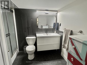 29 CRESCENT STREET Peterborough (Town Ward 3) Ontario photo 28