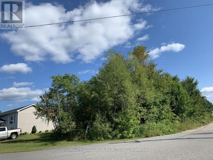 195 NELSON STREET, Gravenhurst (Muskoka (S)), Ontario, P1P1K7
