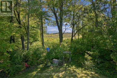 402 FIDDICK ROAD Cramahe Ontario photo 46