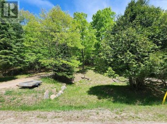 0 PARK STREET Dysart et al (Dysart) Ontario photo 1