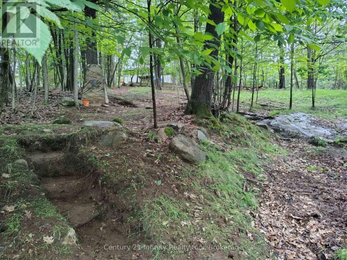 0 PARK STREET, Dysart et al (Dysart), Ontario, K0M1S0