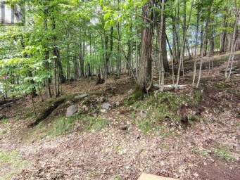 0 PARK STREET Dysart et al (Dysart) Ontario photo 15