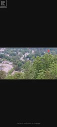 0 PARK STREET Dysart et al (Dysart) Ontario photo 29