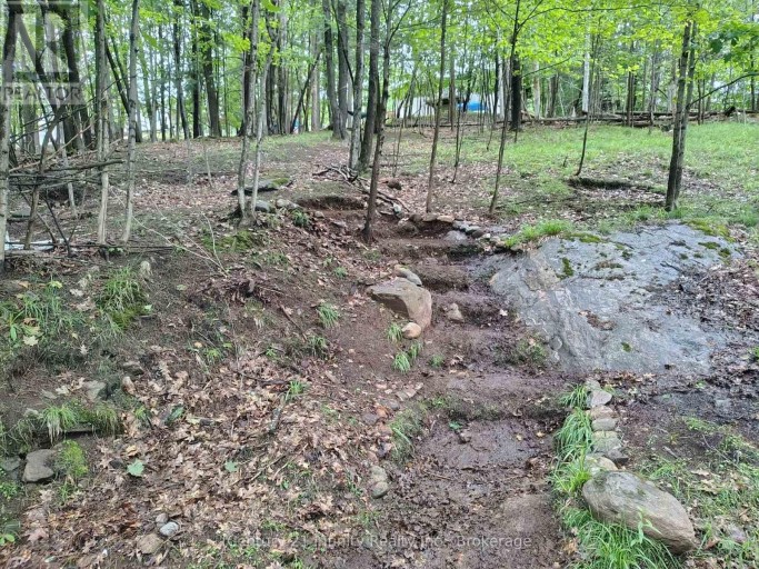 0 PARK STREET, Dysart et al (Dysart), Ontario, K0M1S0