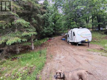0 PARK STREET Dysart et al (Dysart) Ontario photo 8