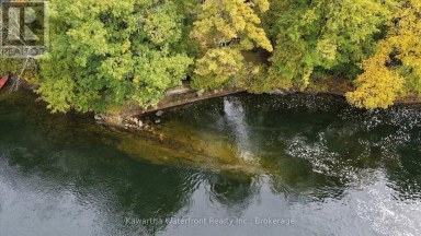 25 GOVERNMENT DOCK ROAD Kawartha Lakes (Laxton/Digby/Longford) Ontario photo 44