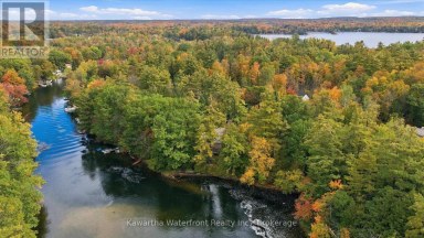 25 GOVERNMENT DOCK ROAD Kawartha Lakes (Laxton/Digby/Longford) Ontario photo 46