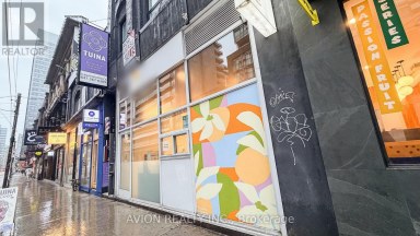 114 DUNDAS STREET W Toronto (Bay Street Corridor) Ontario photo 18