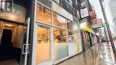 114 DUNDAS STREET W Toronto (Bay Street Corridor) Ontario photo 19