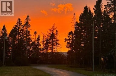 181 McCarthy's Point Road Pocologan New Brunswick photo 47