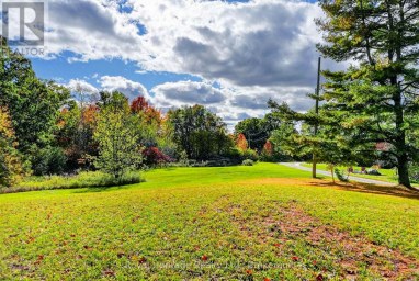 23 1ST LINE W Trent Hills Ontario photo 8
