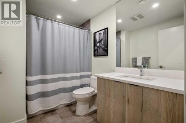 228 33 Avenue NE Calgary Alberta photo 38