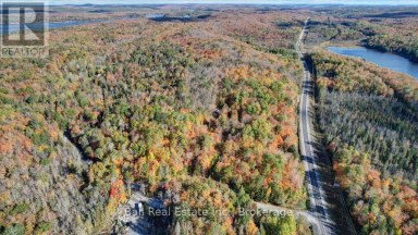 23 CONCESSION 18 ROAD North Kawartha Ontario photo 5