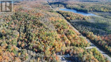 23 CONCESSION 18 ROAD North Kawartha Ontario photo 6