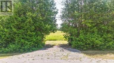 0 CON 10 LOT 5 OLD NORWOOD ROAD Havelock-Belmont-Methuen (Belmont-Methuen) Ontario photo 1