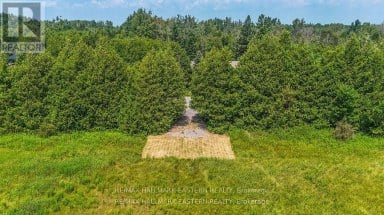 0 CON 10 LOT 5 OLD NORWOOD ROAD Havelock-Belmont-Methuen (Belmont-Methuen) Ontario photo 2