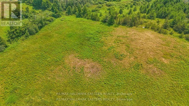0 CON 10 LOT 5 OLD NORWOOD ROAD, Havelock-Belmont-Methuen (Belmont-Methuen), Ontario, K0L1Z0