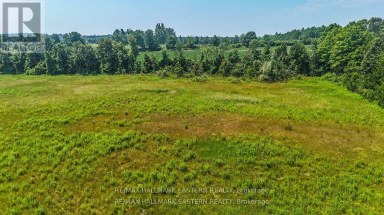 0 CON 10 LOT 5 OLD NORWOOD ROAD Havelock-Belmont-Methuen (Belmont-Methuen) Ontario photo 5