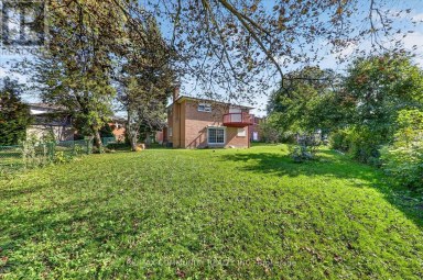 10 TANYA PLACE Toronto (Agincourt South-Malvern West) Ontario photo 38